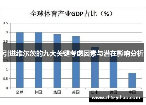 引进维尔茨的九大关键考虑因素与潜在影响分析