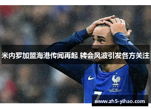 米内罗加盟海港传闻再起 转会风波引发各方关注