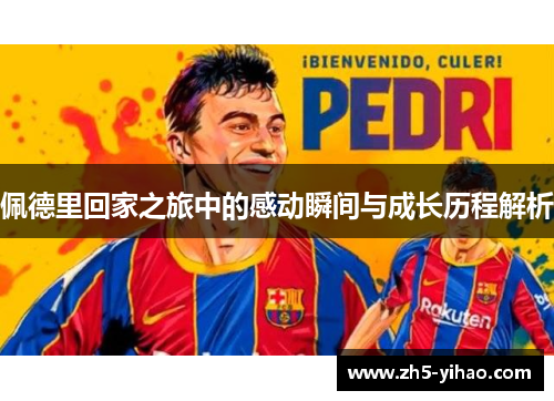 佩德里回家之旅中的感动瞬间与成长历程解析 佩德里回家之旅中的感动瞬间与成长历程解析