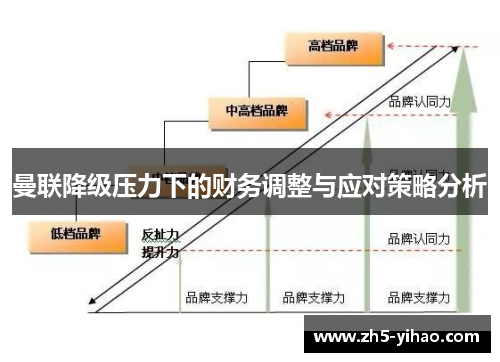 曼联降级压力下的财务调整与应对策略分析
