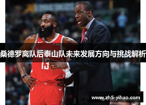 桑德罗离队后泰山队未来发展方向与挑战解析