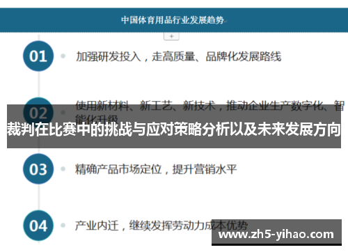 裁判在比赛中的挑战与应对策略分析以及未来发展方向