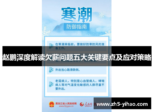 赵鹏深度解读欠薪问题五大关键要点及应对策略