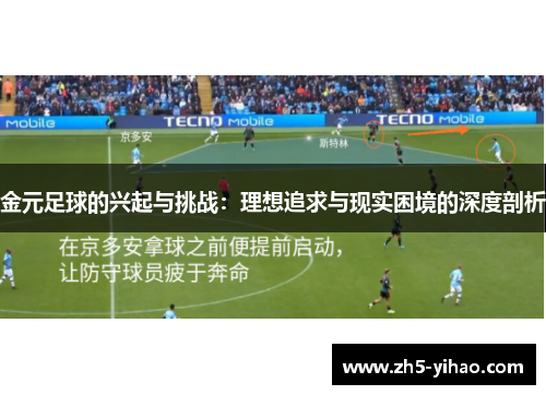 金元足球的兴起与挑战：理想追求与现实困境的深度剖析