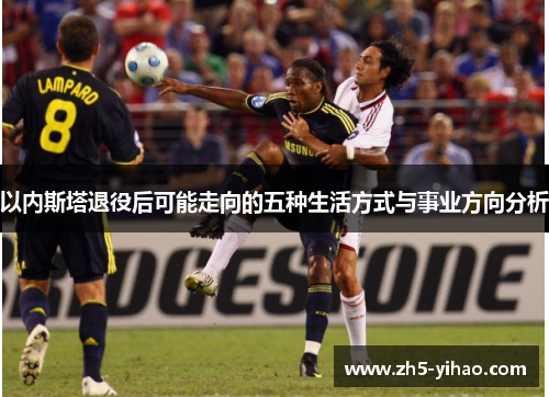 以内斯塔退役后可能走向的五种生活方式与事业方向分析