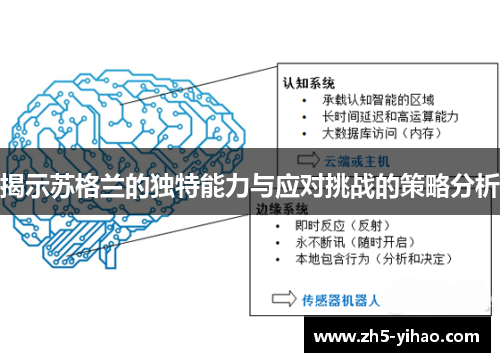 揭示苏格兰的独特能力与应对挑战的策略分析