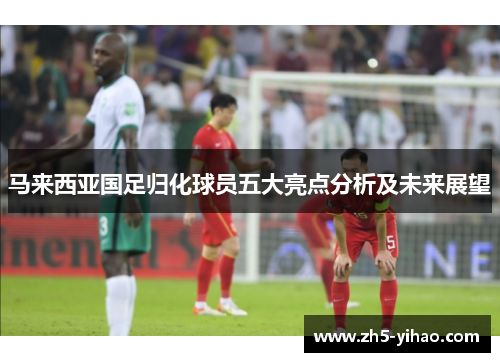 马来西亚国足归化球员五大亮点分析及未来展望