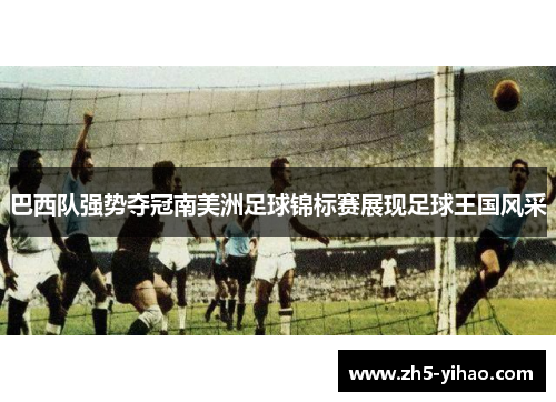 巴西队强势夺冠南美洲足球锦标赛展现足球王国风采